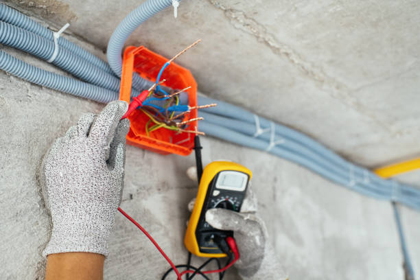 Best Generator Installation Services  in Colwyn, PA